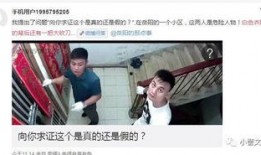 怎么爆料偷盗视频的人员,勇敢者如何揭露不法之徒的罪行
