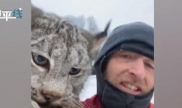 山猫爆料视频,幕后真相大起底